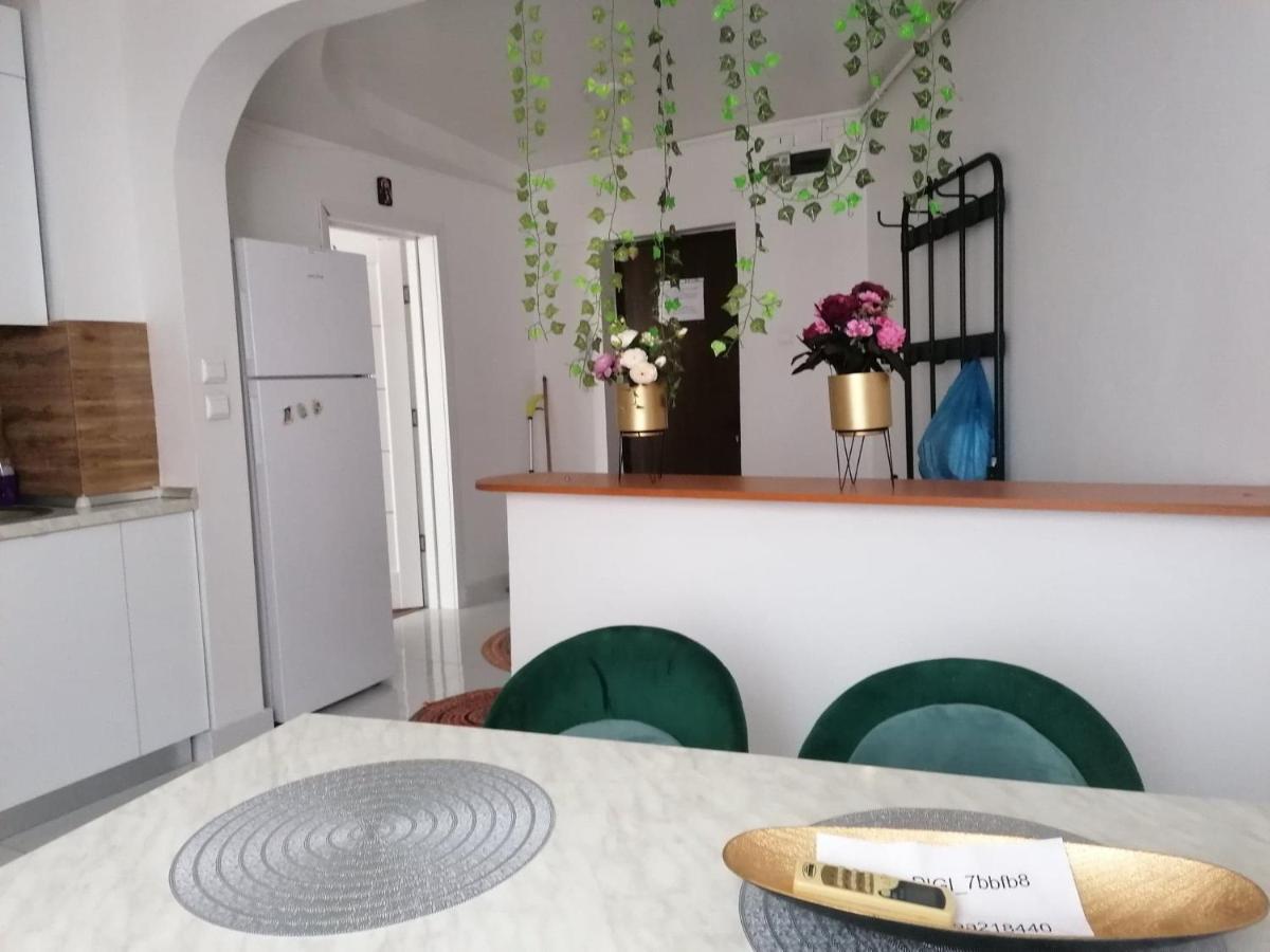 Apartament Near The Park Two Rooms بوخارست المظهر الخارجي الصورة