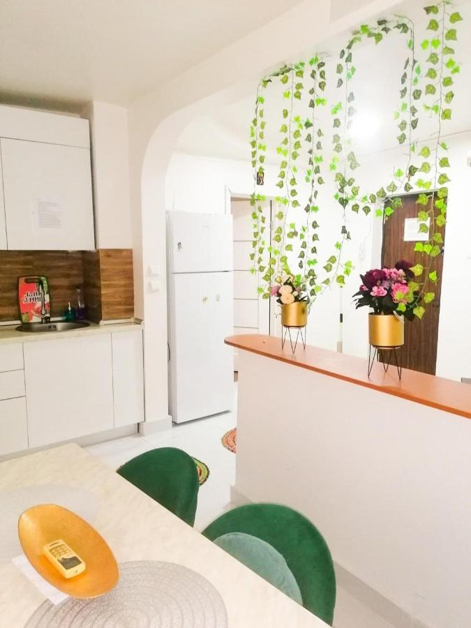 Apartament Near The Park Two Rooms بوخارست المظهر الخارجي الصورة