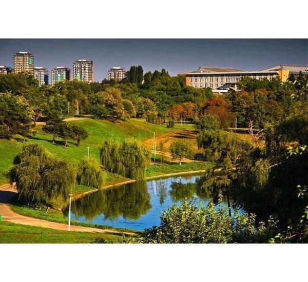 Apartament Near The Park Two Rooms بوخارست المظهر الخارجي الصورة