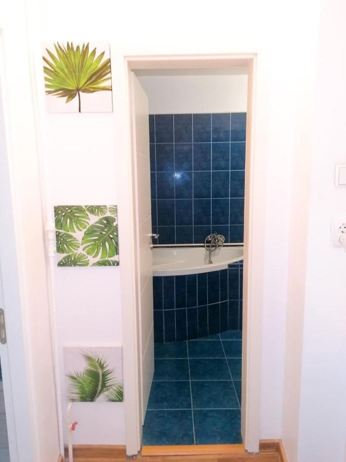 Apartament Near The Park Two Rooms بوخارست المظهر الخارجي الصورة
